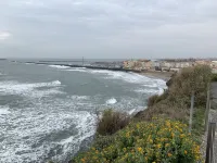 Vue Magnifique du Vieux Port Studio Cabine - A/C - Wifi - Parking