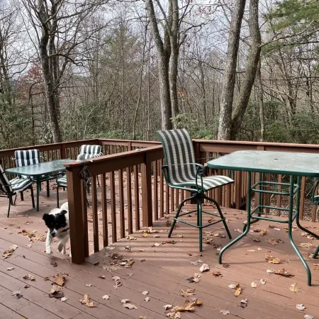 Wolf Ridge Retreat. Comfortable, peaceful retreat in the Blue Ridge Mountains Отели в г. Хогбек