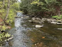 Private Upper Peninsula River Cabin / Sleeps 6 / Fishing / Hiking & Relaxing Hotels in L'Anse Township