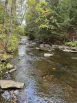 Private Hideaway Cabin, Nestled in the Woods with Private Silver River Access.