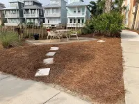 Catch N Relax Like A Prince