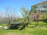 Arriola Txiki -  Holiday Villas