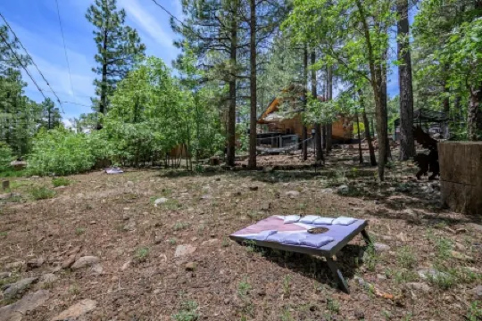 Coco's Creekside Cabin with Hot Tub, Firepit, and AC/Heat in Munds Park!
