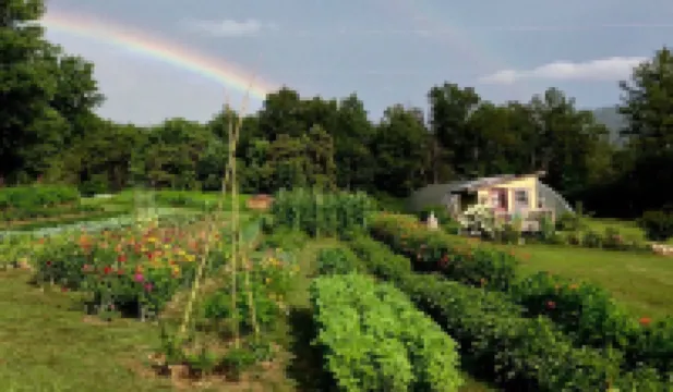 Broadwing Farm Cedar Cabin- Hot Tub with Fresh, Hot Mineral Water - 85 Acre Farm 温泉村酒店