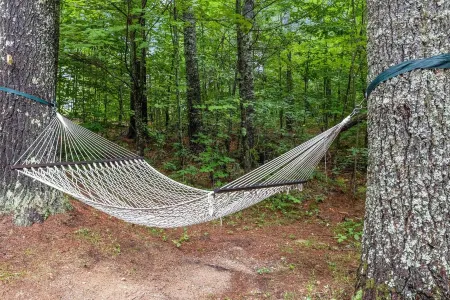 Beautiful Log Cabin on Belleau Lake-All 4 Seasons! 2900 sq ft; Beach-3 min walk!