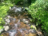 Charming Boutique Studio suite with everything you need for a getaway 普萊恩維爾酒店