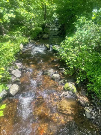 Charming Boutique Studio suite with everything you need for a getaway