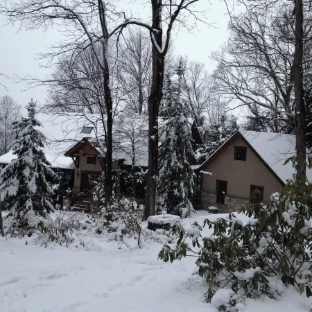 Harmony Lodge nestled in wooded tranquility!