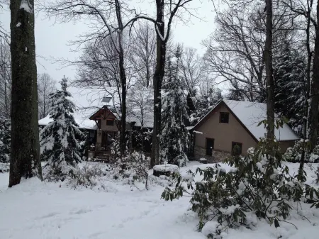 Harmony Lodge nestled in wooded tranquility!