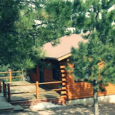 Swiss Drive Cabin  5 miles to Lake Pactola! Access ATV trails from the home!