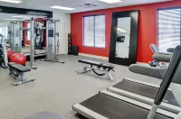 Hilton Garden Inn Kitchener/Cambridge - Gym