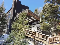 Unique Executive Multi Level Residence Unparalleled Views  WiFi Sat Hot Tub Hotels in Brian Head