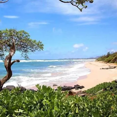 Kaha Lani #216, 2Bdrm, 2bath, See VIDEO! beachfront resort! Ocean views. Quiet!