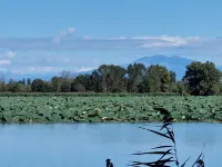 La Chiave - Your home in Mantua