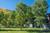 Space for All! Close to Lift 7, Fireplace, Hot Tub Condo Hotel di Telluride