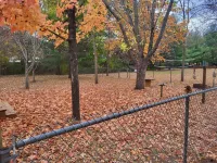 Spacious 4-bedroom house on 1 acre, fenced, GAME ROOM, and party tent rental!