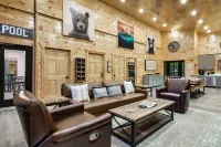 New luxury cabin w/ private pool, hot tub & view!
