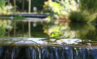 Wellness Forest Retreat