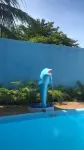 Casapenaareia
