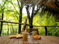 L'Arbre à Cabane Hôtels à : Bourbonne-les-Bains