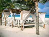 Life Resort St. Thomas Royal Palm - Ocean View