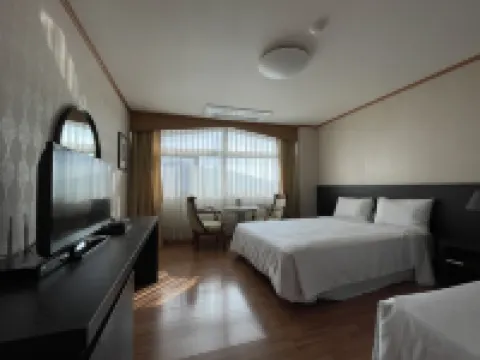 Danyang Tourist Hotel Edelweiss Hotels in Danyang-gun