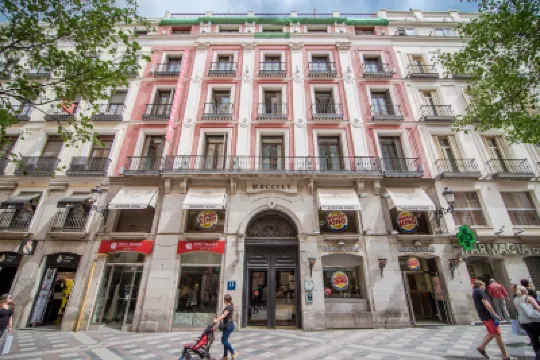 Petit Palace Puerta del Sol Hotels near Puerta del Sol