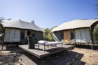 Trees N Tigers Luxury Wildlife Lodge Hotels in Alwar