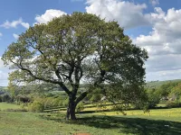 Queen Bower Farm Lodge - parking