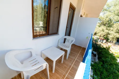 يوكاليبتس بينشن الأماكن العامة Photos