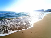 B&B My Home Hotels in Alassio