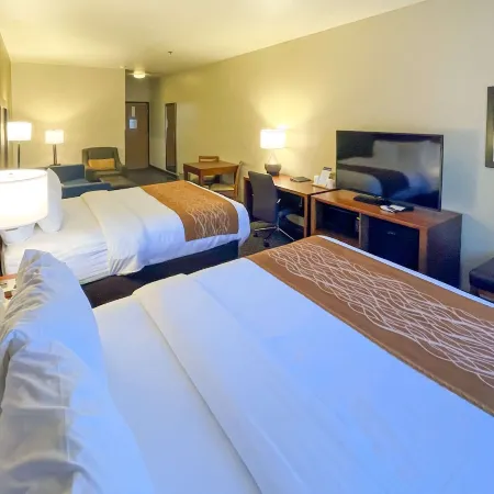Comfort Inn & Suites Midtown