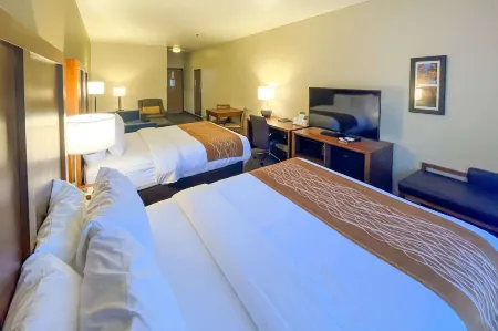Comfort Inn & Suites Midtown Отели в г. Руидозо