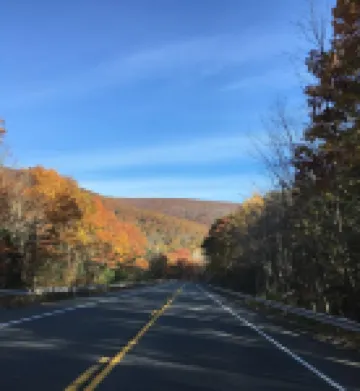 Catskill Cabin, Cool Apartment, 2nd Fl.