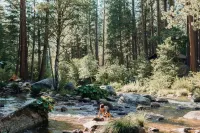 Riverfront! Pet-Friendly A-Frame Cabin - 25min to Sierra @ Tahoe