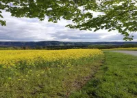 フェリエンヴォーヌング イン リヒテンハイン