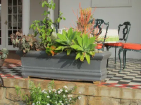 Sugar Hill Manor Hotels in Eshowe