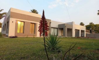 Comfortable and luxurious stay
