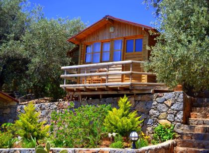 Olive Garden Kabak