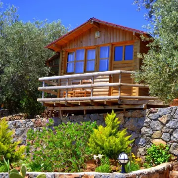 Olive Garden Kabak