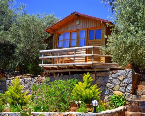 Olive Garden Kabak Hotels in Uzunyurt Mahallesi