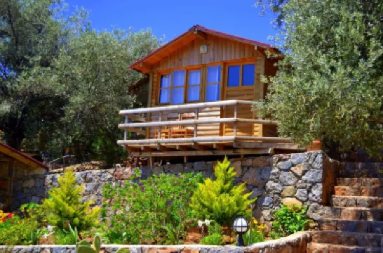 Olive Garden Kabak Hotels near Kabak Valley