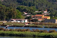 Alba B&B Hotels in Province of Carbonia-Iglesias