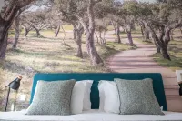 Herdade Das Onzenas de Cima Hotels in Couco