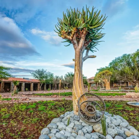 Elegant Desert Lodge
