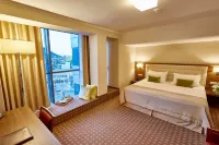 Central Plaza Hotel Các khách sạn ở Piatra Neamt