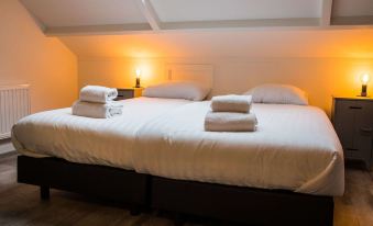 Cozy Holiday Home in Vrouwenpolder Close to the Beach