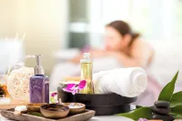 新德里航空城雅樂軒酒店 - SPA