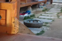 Sarangroo - Homestays