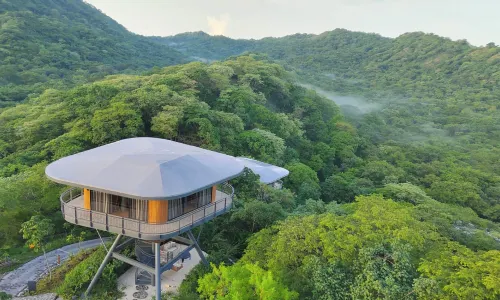 Suitree Experience Hotel